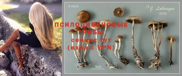 Альфа ПВП Белоозёрский